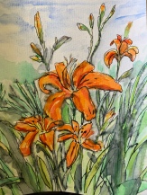 Day lilies 5x7 $40